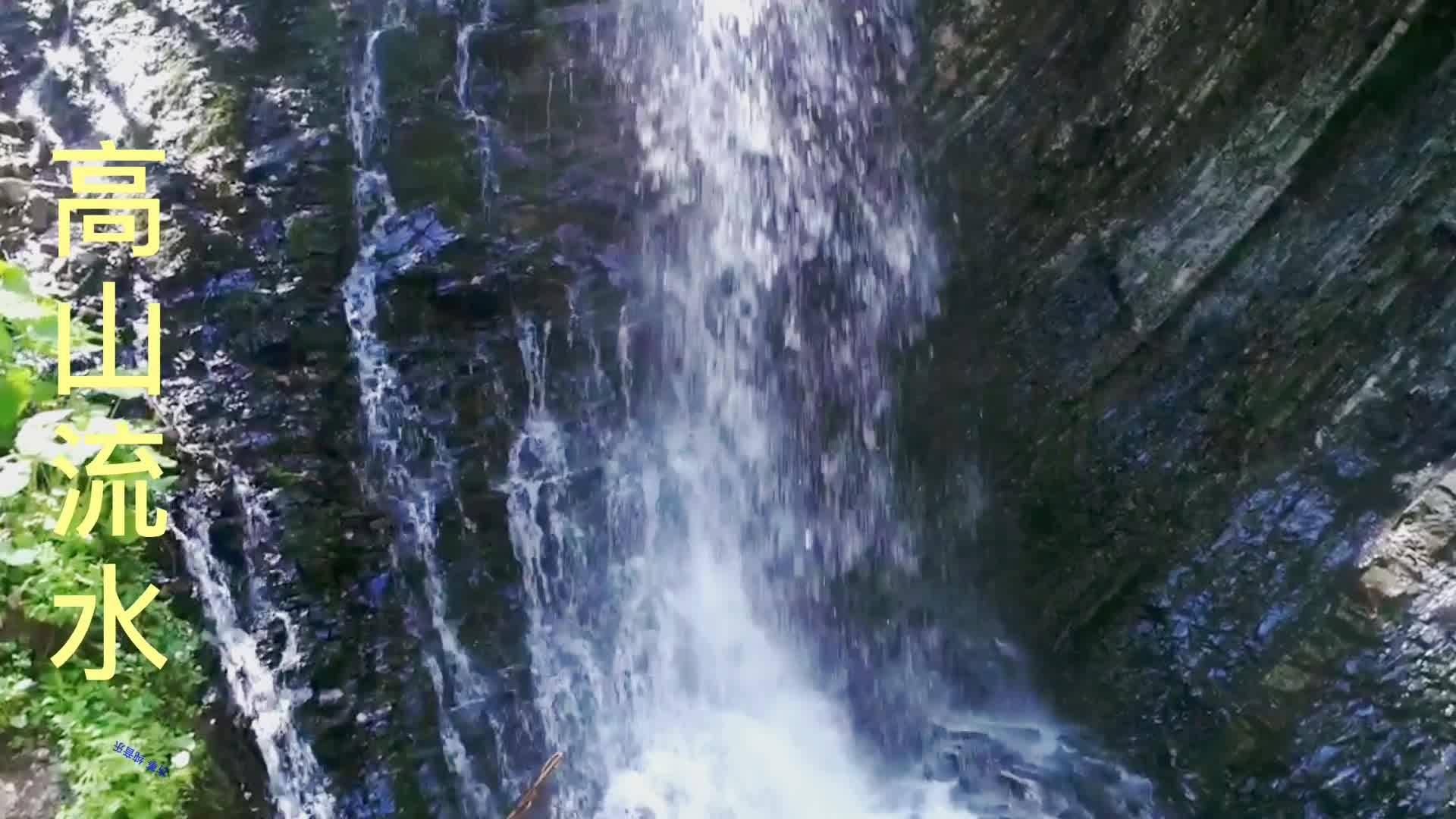 快刺水果